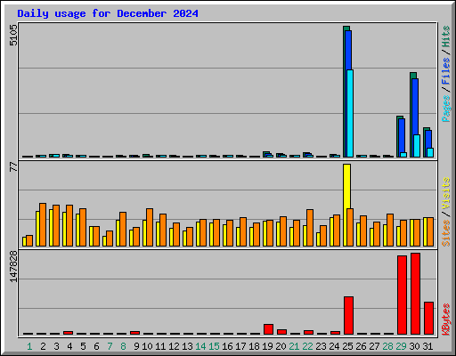 Daily usage for December 2024