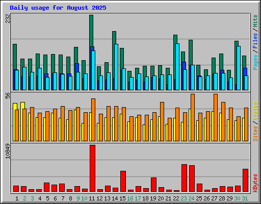 Daily usage for August 2025