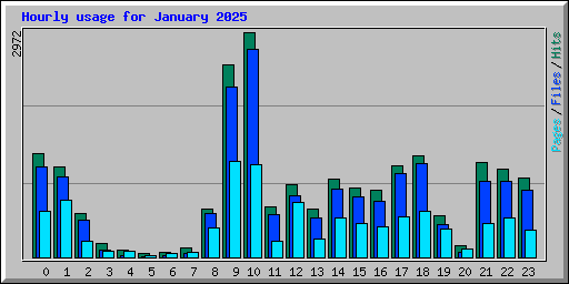 Hourly usage for January 2025