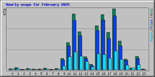Hourly usage for February 2025