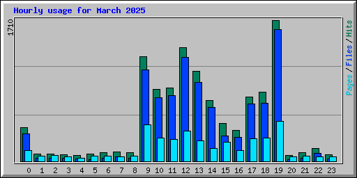 Hourly usage for March 2025