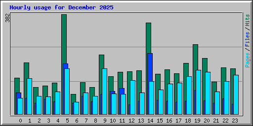 Hourly usage for December 2025