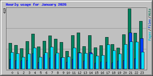 Hourly usage for January 2026